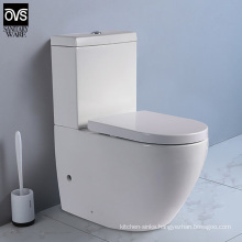 Modern Design Sanitary Ware Bathroom P-Trap Ceramic Washdown Toilet